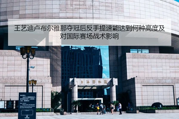 王艺迪卢布尔雅那夺冠后反手提速能达到何种高度及对国际赛场战术影响